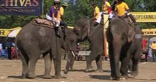 Nepal hosts World Elephant Polo Championships 
